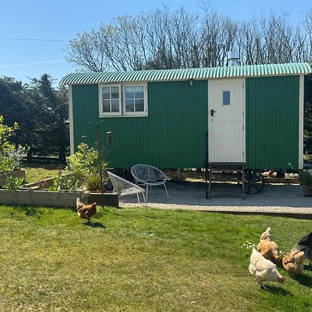 Toms Hut And Robins Rest Shepherd Huts Near Wadebridge Exterior photo